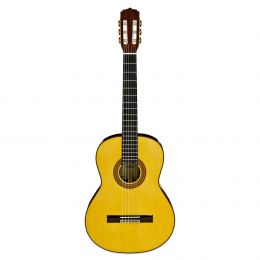 Классическая гитара Aria A-30S N